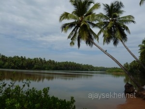 Kumbalaestuary 013