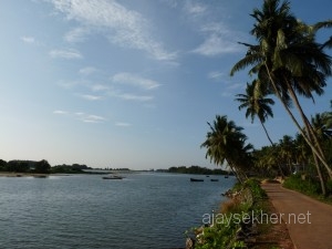 thalangaracurlews 002
