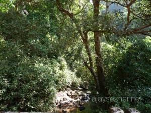 coorg 012
