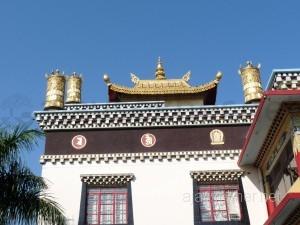 coorg 019