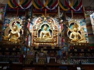 coorg 023