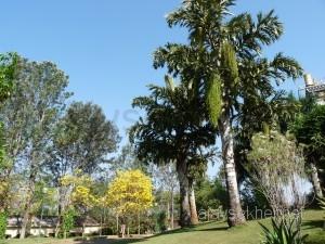 coorg 096