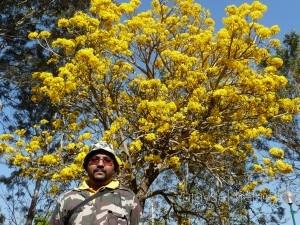 coorg 102