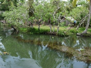 Alleppy-Kollam 052
