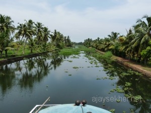 Alleppy-Kollam 082
