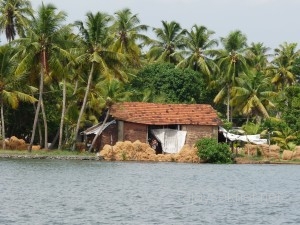 Coir making along Kayamkulam lake