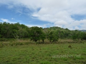 Thekady2011april 035