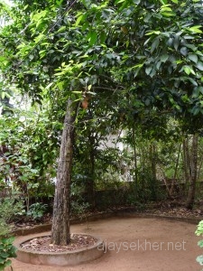 bepur-kozhikode 019