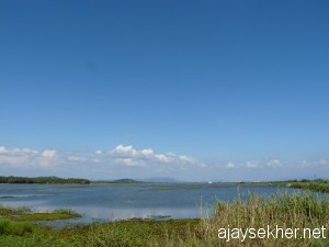 Kol2011 050