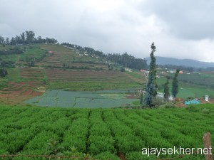 sherrif.ooty 045