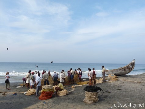 Fishing after Christmas:  Fishers active after Christmas day on the Black Beach, Varkala.