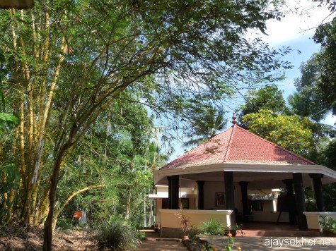 Narayana Gurukulam, Varkala. Adjacent to Sivagiri. It was the retreat of Nitya Chaitanya Yati. The beautiful yellow bamboos scintillate the air and paint the blue sky in illuminating strokes...