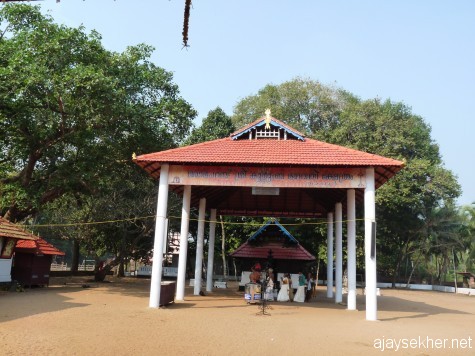 An ancient sacred grove-shrine Kurumba Kavu, Sobha Parambu, Tanur. Rare wild trees are still left in the grove though vanishing.