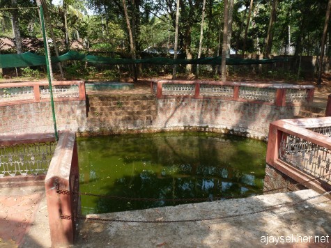 Old oval pond in Chaliyam.  Could be an ancient pond and water source.  The British made it part of their railway yard, now protected by the Forest Dept.