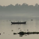 The misty sunrise in the Vembanad