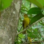 P1100342